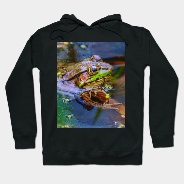 Green Frog Sunbathing in a Pond Hoodie by love-fi